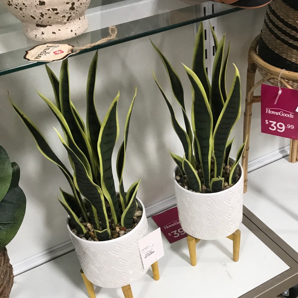 Meet your Posher, Angie